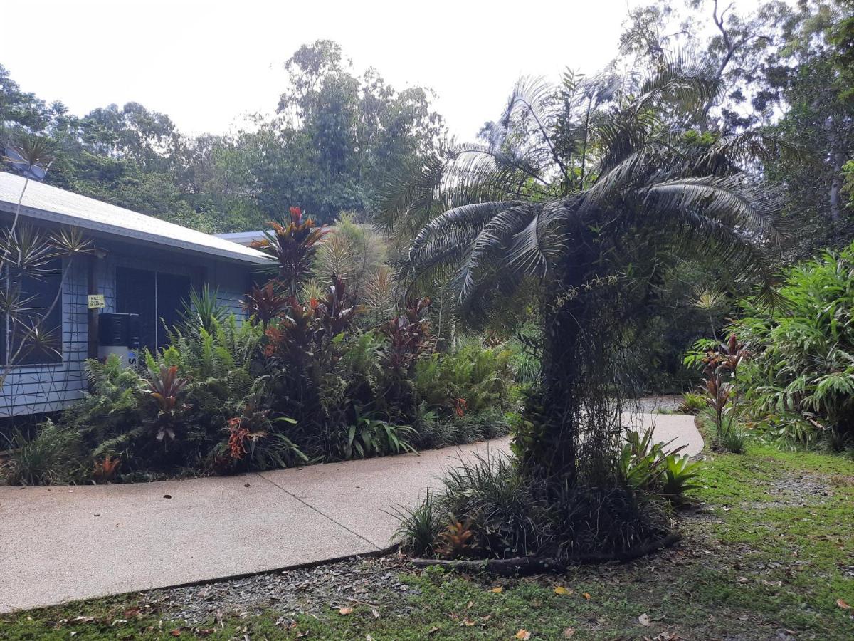 Daintree Rainforest Accommodation Cow Bay Exterior foto